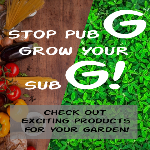 Online Agriculture Store India Buy Vegetable Seeds Flower Seeds India